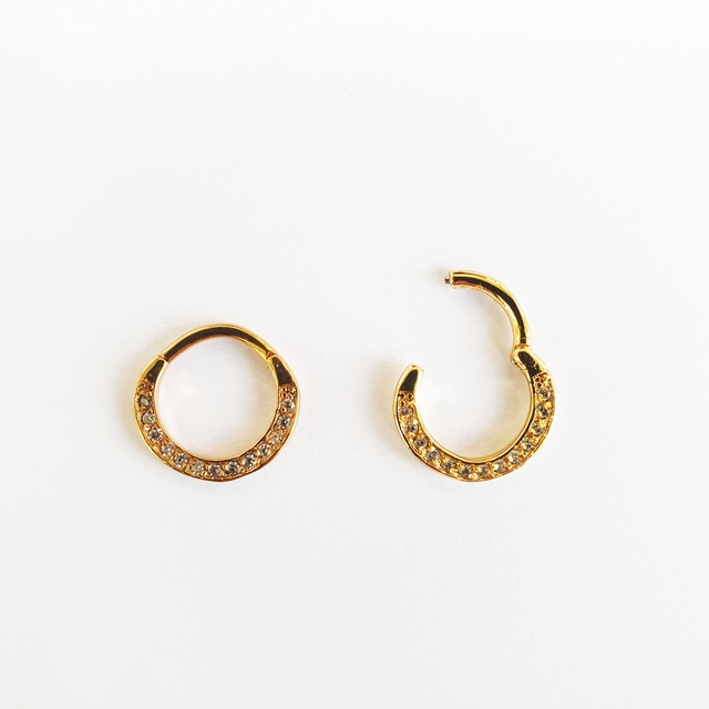 Hoop Septum